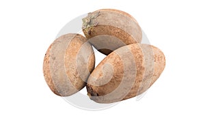 Sapodilla Or Ciku Fruit IX