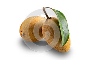 Sapodilla fruits with green leaf isolated on white background