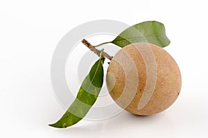 Sapodilla plum, Sapota (Manilkara zapota (L.) P. Royen).