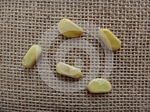 Sappanwood seeds on jute background