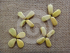 Sappanwood seeds on jute background