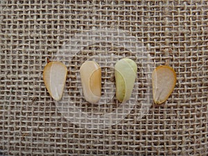 Sappanwood seeds on jute background