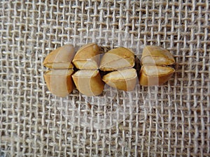 Sappanwood seeds on jute background