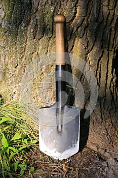 sapper shovel near tree trunk photo