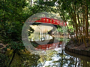 Sarah P. Duke Gardens in Durham, North Carolina photo