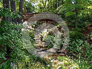 Sarah P. Duke Gardens in Durham, North Carolina