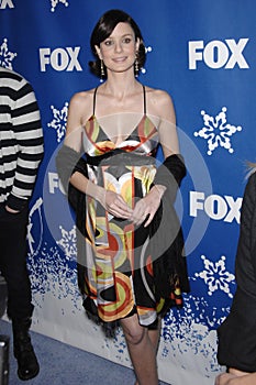 Sarah Wayne,Sarah Wayne Callies