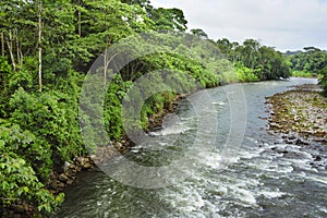 The SarapiquÃ­ river flows through the Tirimbina Biological Reserve in Costa Rica.