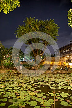 Saraswati Temple Ubud photo