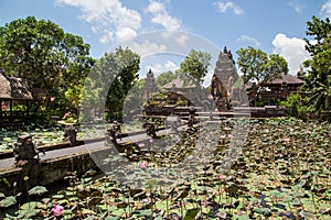 Saraswati Temple Ubud photo