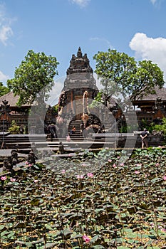 Saraswati Temple Ubud photo