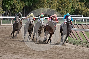 Saratoga Racetrack_7678-1S