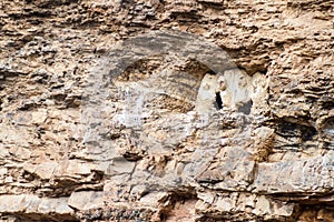 Sarcophagi of Karajia