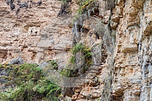 Sarcophagi of Karajia