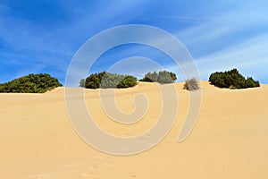 Sardegna - Dune in Piscinas