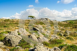 Sardegna, Gerrei