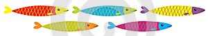 Sardine colorful fish icon set line. Iwashi. Sardina pilchardus. Cute cartoon character. Anchovy pilchard. Marine life. Water photo