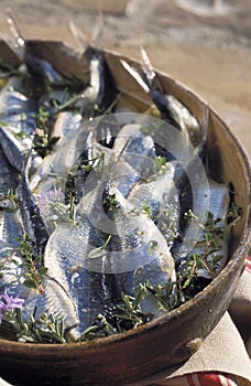 Sardine fillets marinated with thyme and rosemary