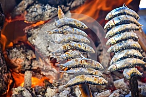Sardine fish grilled over a wood fire in Malaga in Spain