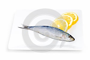 Sardine and lemon