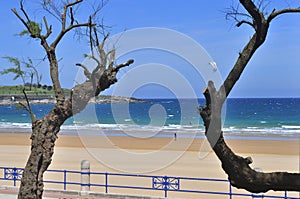 Sardinero beach, in Santander, Cantabria