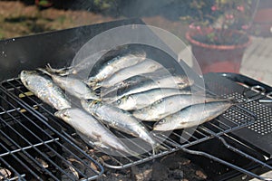 Sardinas sobre el brocheta 