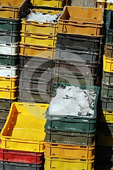 Sardines in boxes