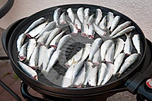 Sardines on grill. Electric grill. BBQ season. Summer grilling.