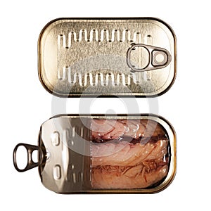 sardines in oil, canned fish