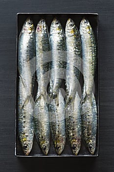 Sardines Packed Tightly Into Tin