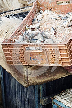 Sardines with salt in the plastic container