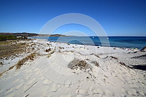 Sardinia, The beach of Capo Comino, in the territory of Siniscola photo
