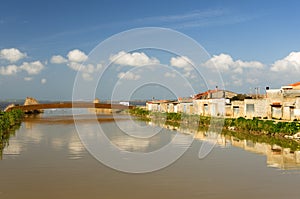 Sardinia, Cabras pond