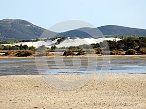 Italy, Sardinia, Carbonia Iglesias, Porto Pino, the pond behind the white sand dunes photo