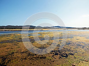 Italy, Sardinia, Carbonia Iglesias, Porto Pino, the pond behind the white sand dunes photo