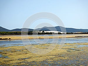 Italy, Sardinia, Carbonia Iglesias, Porto Pino, the pond behind the white sand dunes photo