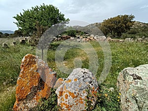 Sardinia. Gonnosfanadiga. Nuragic archaeological site of San Cosimo with the Tomb of Giants, 2nd millennium b.C.
