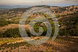 Sardinia, Italy. Vineyard landscape in Barbagia.