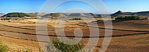 Sardinia's fields