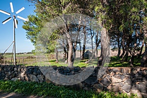 Sardinia. San NicolÃ² d'Arcidano. Municipal park of Fogoni. Small wind turbine for the extraction of water