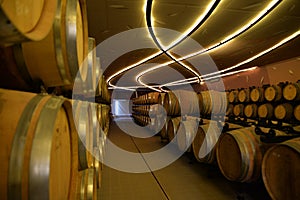 Sardinia wine cellar and barrels, interior view of a winery