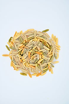 Sardinian gnocchetti pasta, also known as malloreddus or macarrones de punzu, isolated on a white background photo