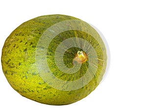 Sardinian Green Melon