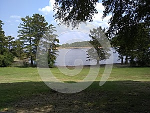 Sardis Mississippi Upper Lake by cedar trees