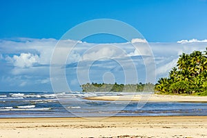 Sargi beach surrounded by coconut trees and native vegetation