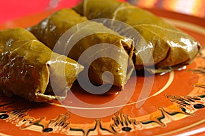 Sarma photo