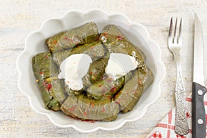 Sarma rolls in a plate covered with spices photo