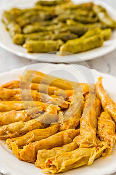 Sarma, Stuffed Grape and Cabbage Leaves