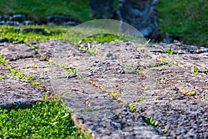 Sarmisegetusa regia, Old ruins in Transilvania, Orastie Mountains, Romania