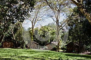 Sarova Mara Game Camp Landscapes Nature In Maasai Mara National Park Narok County Kenya East African